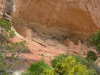 Ruins along Salt Creek